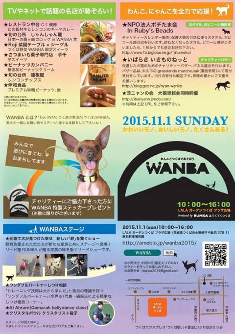 わんば　ふらいやー