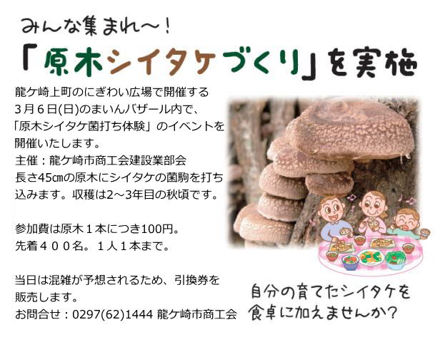 シイタケの原木